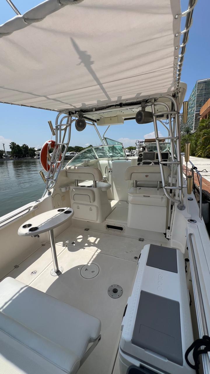 Techo de popa de la Wellcraft 270 FT