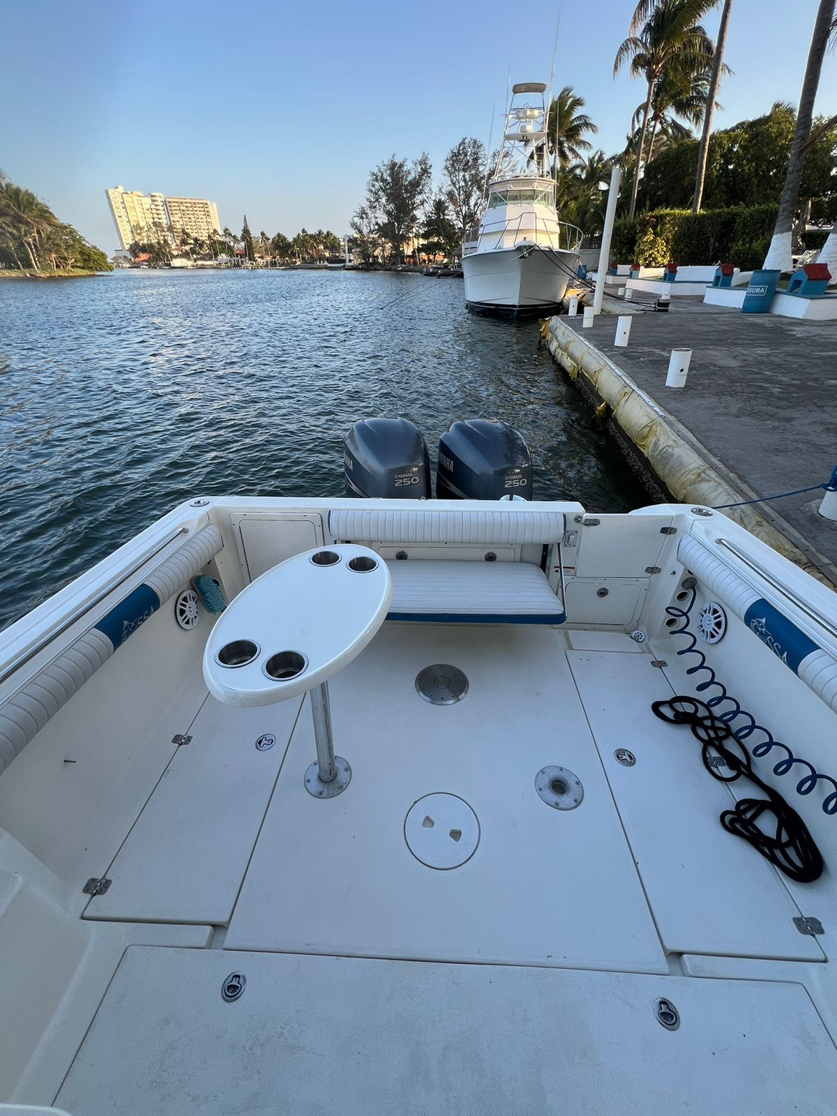 Popa de la Wellcraft 270 FT