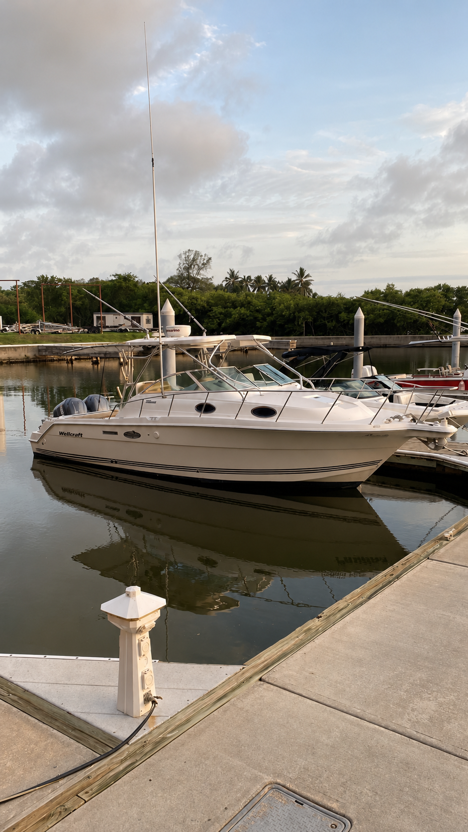 Wellcraft 290 FT en Boca del Río