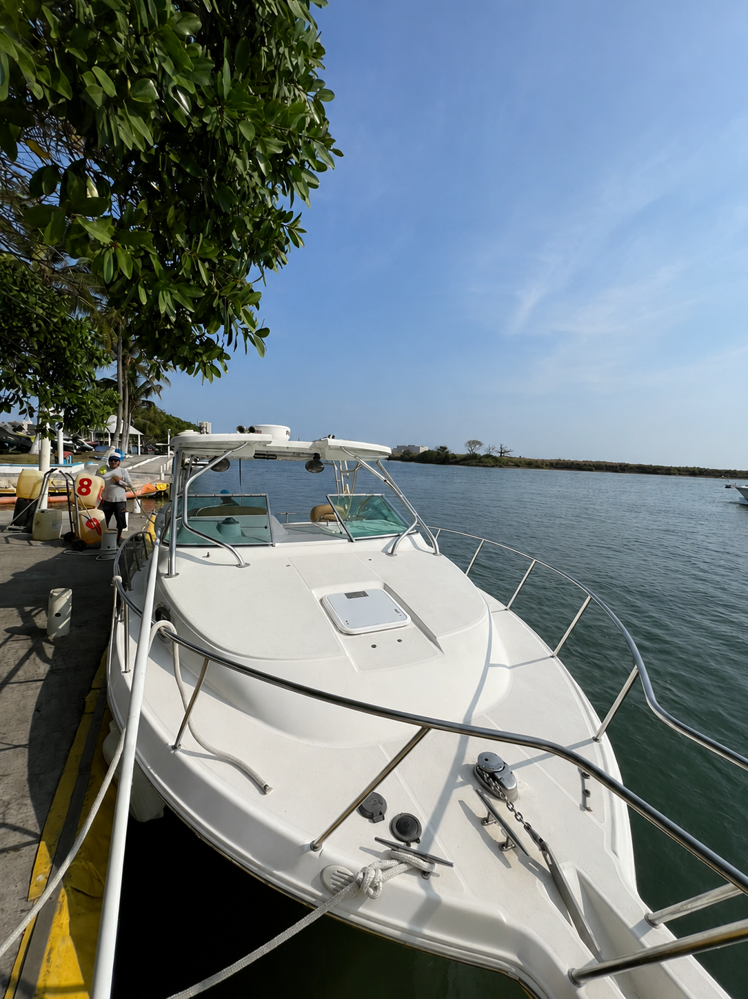 Proa de la Wellcraft 290 FT