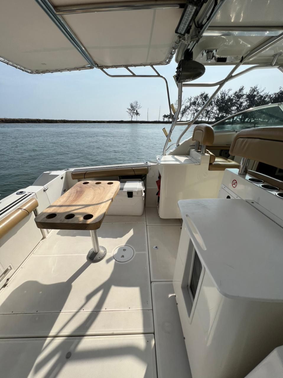 Interior de popa de la Wellcraft 290 FT
