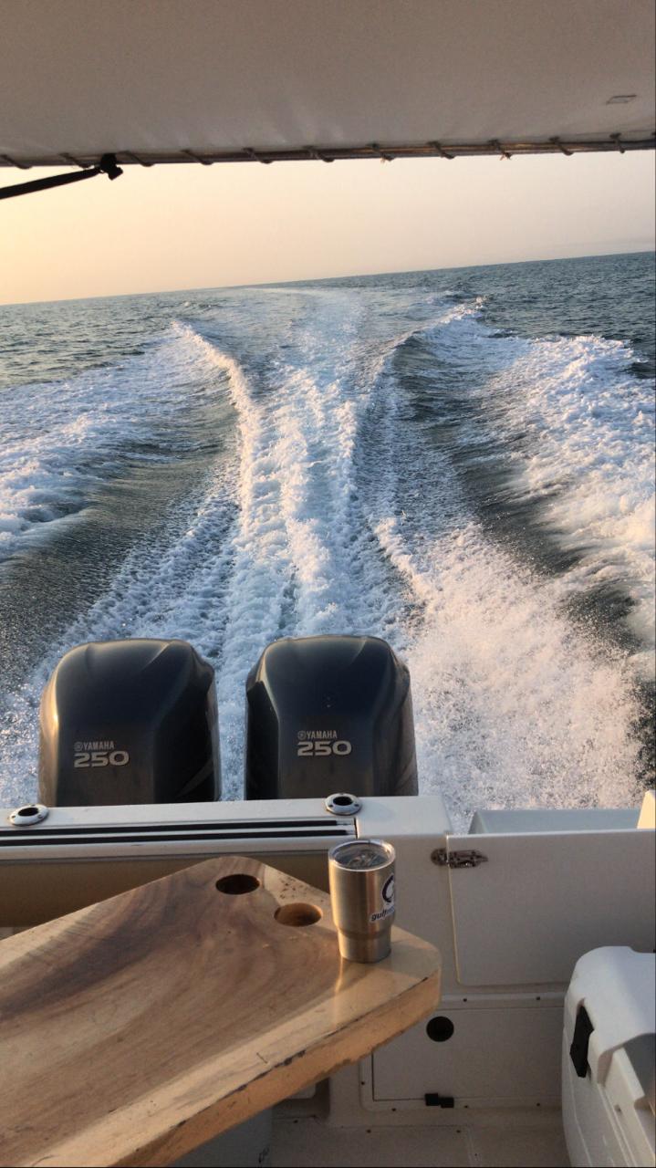 Wellcraft 290 FT navegando